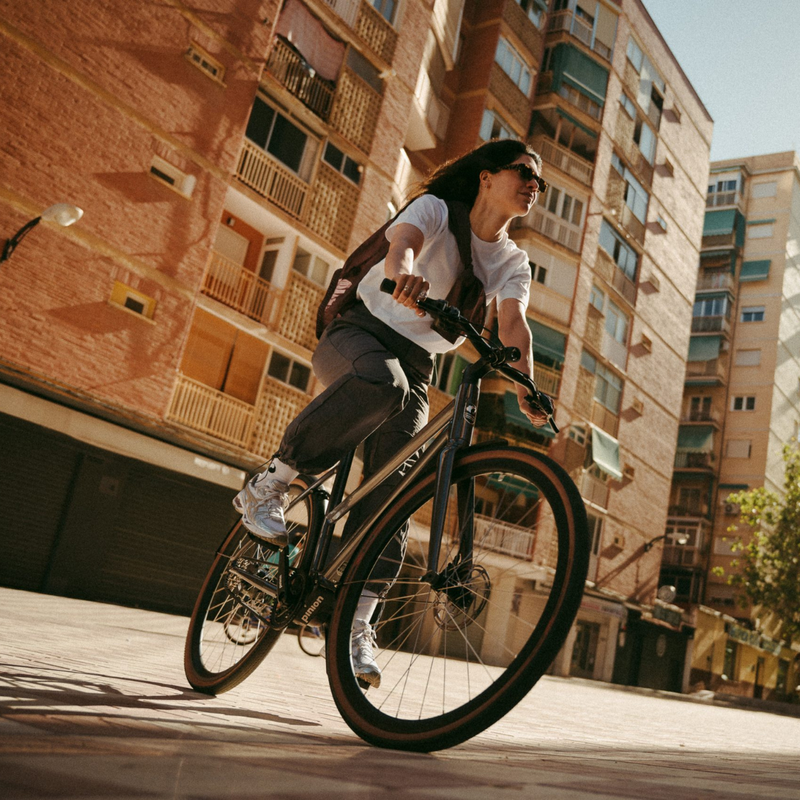 Femme vélo de ville Desiknio