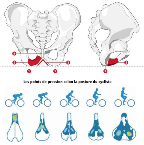 Les points de pression selon la posture du cycliste