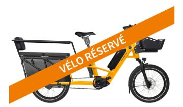 Vélo de Ville - Loady 900 - 2025