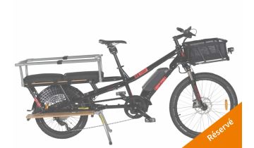 Yuba Spicy Curry All Terrain - 2023