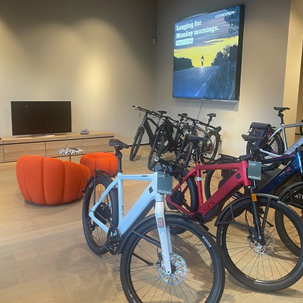 Atelier v&eacute;lo - Grenoble (Saint-&Eacute;gr&egrave;ve) 